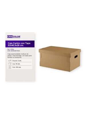 Caja Con Tapa 530x405x260mm