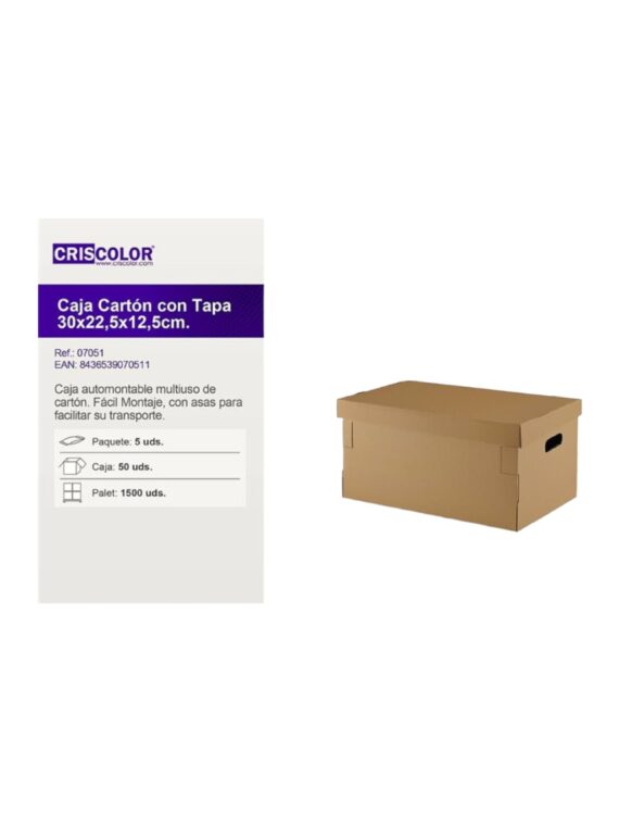 Caja Automontable 30x22.5x12.5