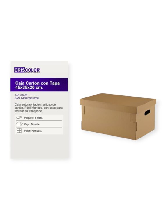 Caja C-tapa 450x350x200